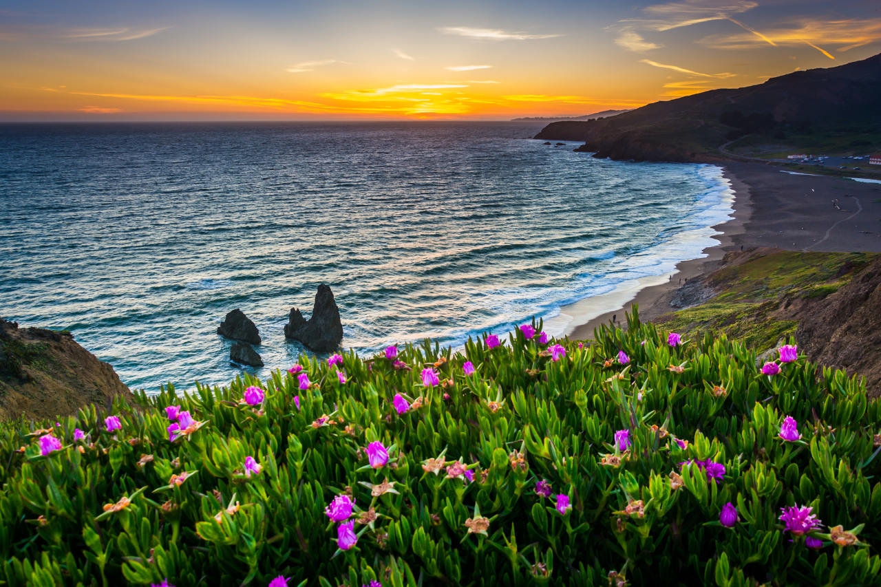 Marin coast